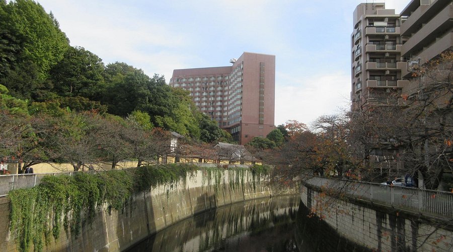 🏞️ 분쿄구립 에도가와 공원 (분쿄쿠리츠 에도가와 코엔) 이미지 1